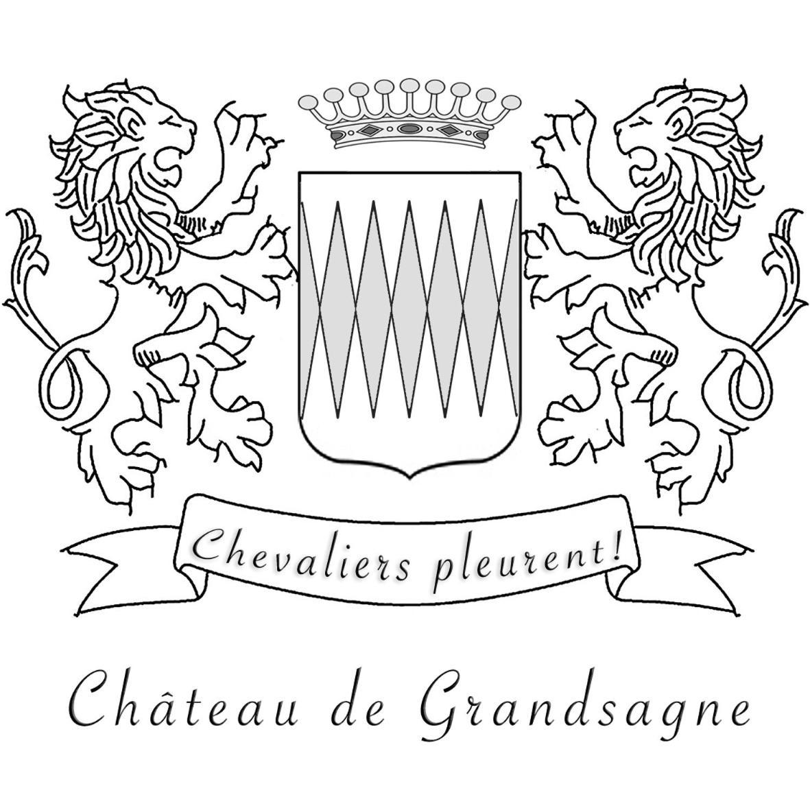 Chateau De Grandsagne Bonnat Exterior foto